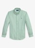 Custom fit overhemd met streepprint - White Erin Green / Groen