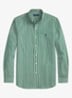 New Forest White / Groen