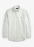 Custom fit Oxford overhemd met streepprint - 6636R Faded Mint White-ZXSA