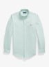 Custom fit Oxford overhemd met streepprint - Scarab Green White / Groen