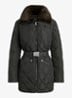Dark Moss / Groen