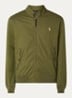 New Olive / Groen