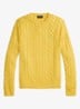 Kabelgebreide katoenen trui - Sunfish Yellow-33F4