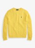 Kabelgebreide trui met logoborduring - Collegiate Yellow-3JZ4