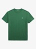 Antique Green / Groen