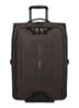 Bruin