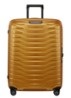 Proxis spinner 75 cm  - Goud