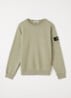 00002 sweater met logo - Lindegroen