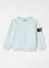 00012 sweater met logo - Mint