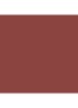 Runway Lip Stylo Matte - lipstick - 100 Rosy Brown