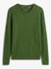 Mountain Pine-L01 / Groen
