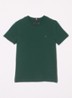 T-shirt met streepprint en logoborduring - Ornamental green / groen