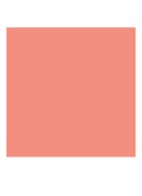 Cheek Tint - vloeibare blush - 50.5 Rosy Peach