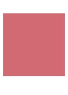 Cheek Tint - vloeibare blush - 62 Delicate Mauve