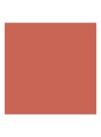 Lip Maestro Satin Liquid Lipstick - vloeibare lipstick - SATIN 02