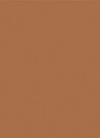 Luminous Silk Bronzing Poeder - bronzer - 100