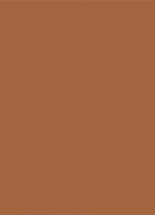 Luminous Silk Bronzing Poeder - bronzer - 110