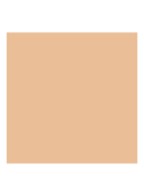 Luminous Silk Concealer - 2