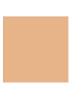 Luminous Silk Concealer - 5