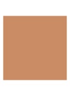 Luminous Silk Foundation - 5.5