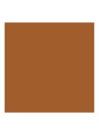 Luminous Silk Foundation - 10
