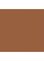 Luminous Silk Foundation - 14