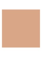 Luminous Silk Foundation - 5.1