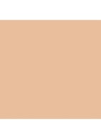 Luminous Silk Foundation - 5