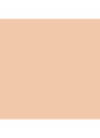  Luminous Silk Skin Tint - Foundation -  F1