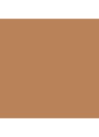 Luminous Silk Skin Tint - Foundation -  M5