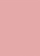 Prisma Glass Icy Plumper - lipgloss - 32 Ice Pink