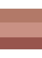 Eye Shadow palette - oogschaduw palette  - Sunrise