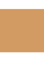 Intensive Skin Serum Foundation SPF 40 - Golden