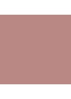 Lip Pencil - lipliner - Pale Mauve