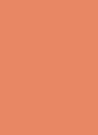 Long-Wear Cream Shadow Stick - oogschaduwstick - Coral Sunset