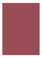 Luxe Lip Color - lipstick - Rose Blossom
