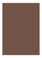 Natural Brow Shaper - getinte wenkbrauwgel - Rich Brown