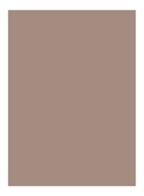 Natural Brow Shaper - getinte wenkbrauwgel - Neutral Brown