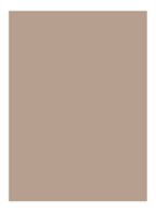 Natural Brow Shaper - getinte wenkbrauwgel - Slate
