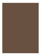 Natural Brow Shaper - getinte wenkbrauwgel - Espresso
