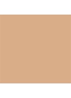 Nude Finish Tinted Moisturizer SPF 15 - getinte dagcrème - Medium Tint