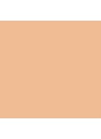 Nude Finish Tinted Moisturizer SPF 15 - getinte dagcrème - Light to Medium Tint