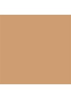 Nude Finish Tinted Moisturizer SPF 15 - getinte dagcrème - Medium to Dark Tint