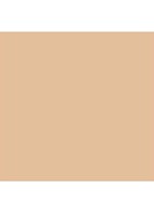 Nude Finish Tinted Moisturizer SPF 15 - getinte dagcrème - Extra Light Tint