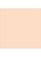 Nude Finish Tinted Moisturizer SPF 15 - getinte dagcrème - Porcelain Tint