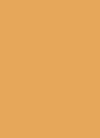 Sheer Finish Pressed Powder - poeder - Golden Orange