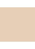 Skin Corrector Stick - Extra Light Bisque
