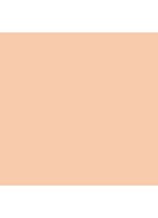 Skin Foundation Stick - N-010 Neutral Porcelain