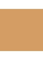 Skin Foundation Stick - 4.75 Golden Natural