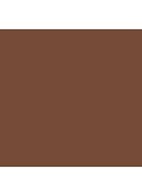 Skin Foundation Stick - 10 Espresso
